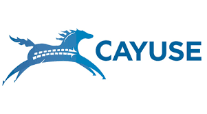 Cayuse HORSE.png